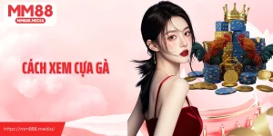 Cách Xem Cựa Gà Thumb