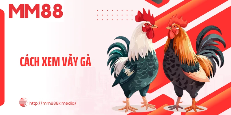 Cách Xem Vảy Gà Thumb