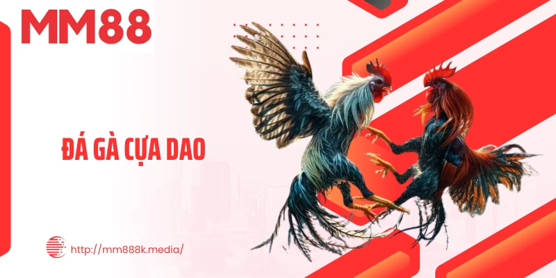 Đá Gà Cựa Dao Thumb